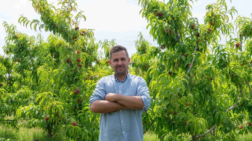 Farmer in front of peach tree