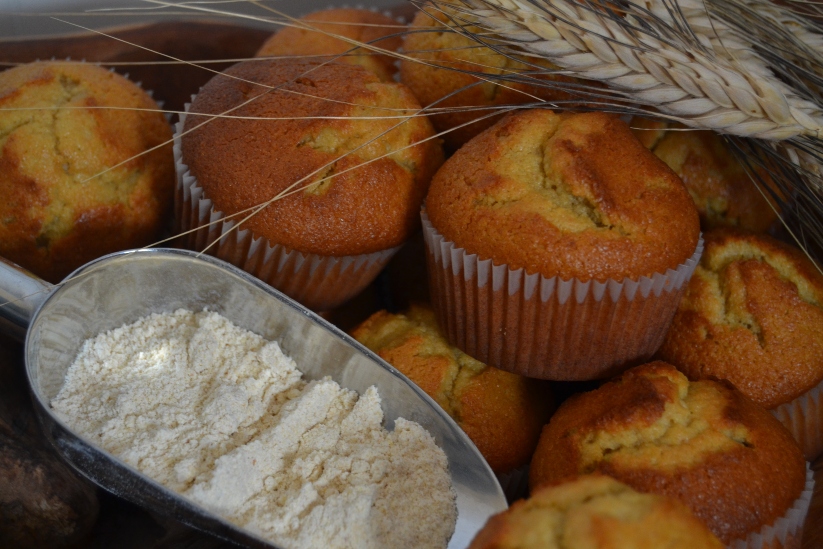 Muffins with Khorasan wheat flour