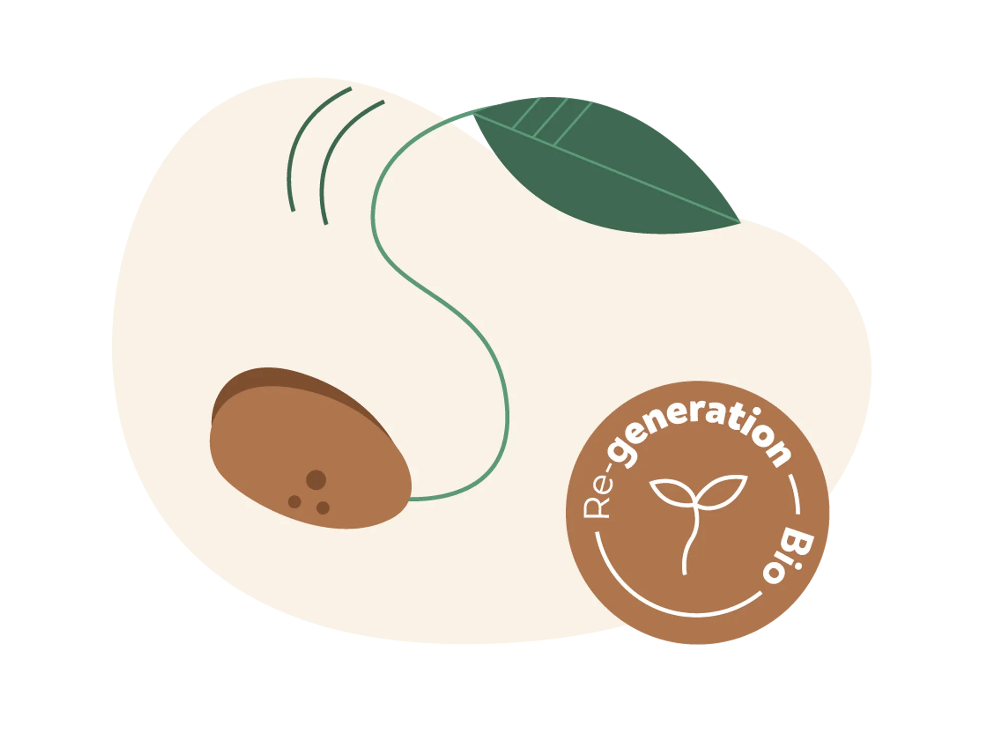 Regenerar la tierra que nos alimenta