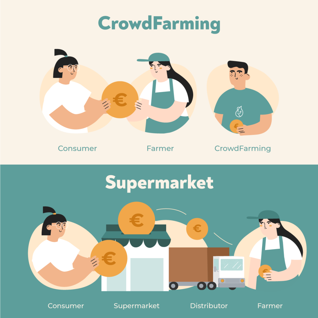 Illustration of a direct sales channel between a consumer and a farmer and a sales channel with intermediaries (supermarket and retailer).