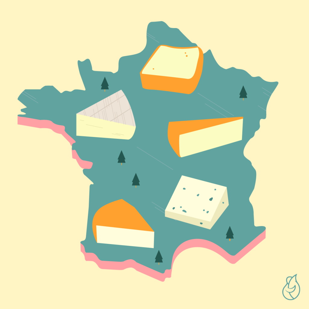 Illustration of France with several pieces of cheese: Comté, Roquefort, Camembert.